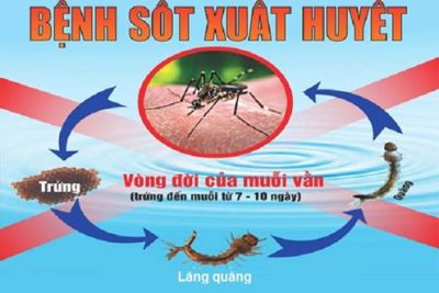 BÀI TUYÊN TRUYỀN PHÒNG CHỐNG BỆNH SỐT XUẤT HUYẾT