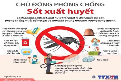 BÀI TUYÊN TRUYỀN PHÒNG CHỐNG BỆNH SỐT XUẤT HUYẾT VÀ BỆNH TAY CHÂN MIỆNG